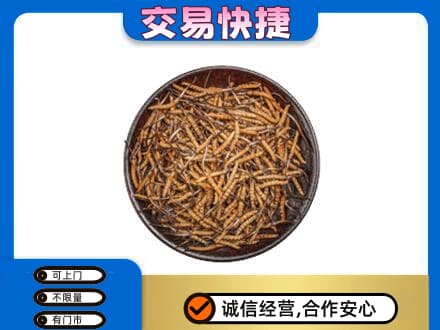 商丘市夏邑回收散虫草